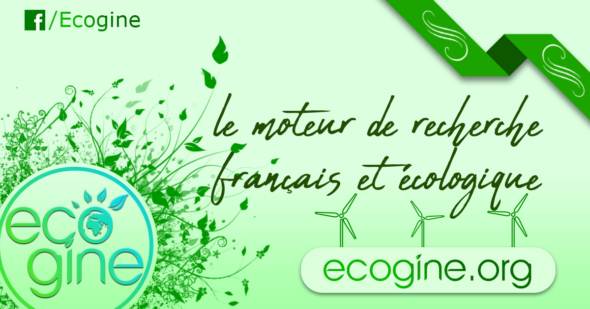 Ecogine.org