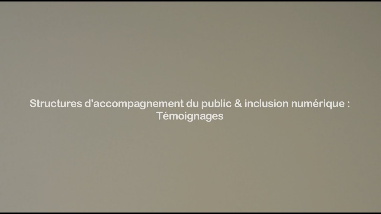 Structures d'accompagnement du public et inclusion numérique : témoignages