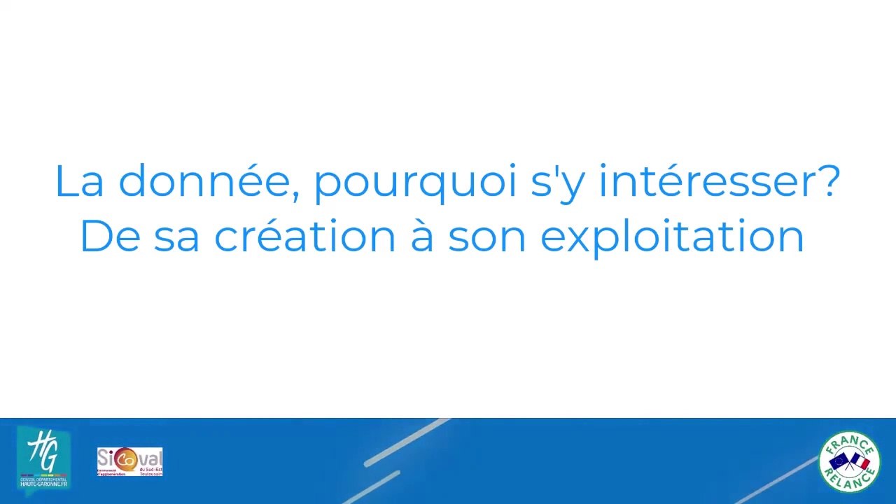 Webinaire 7 - La donnée, pourquoi s'y intéresser - Vidéo Dailymotion